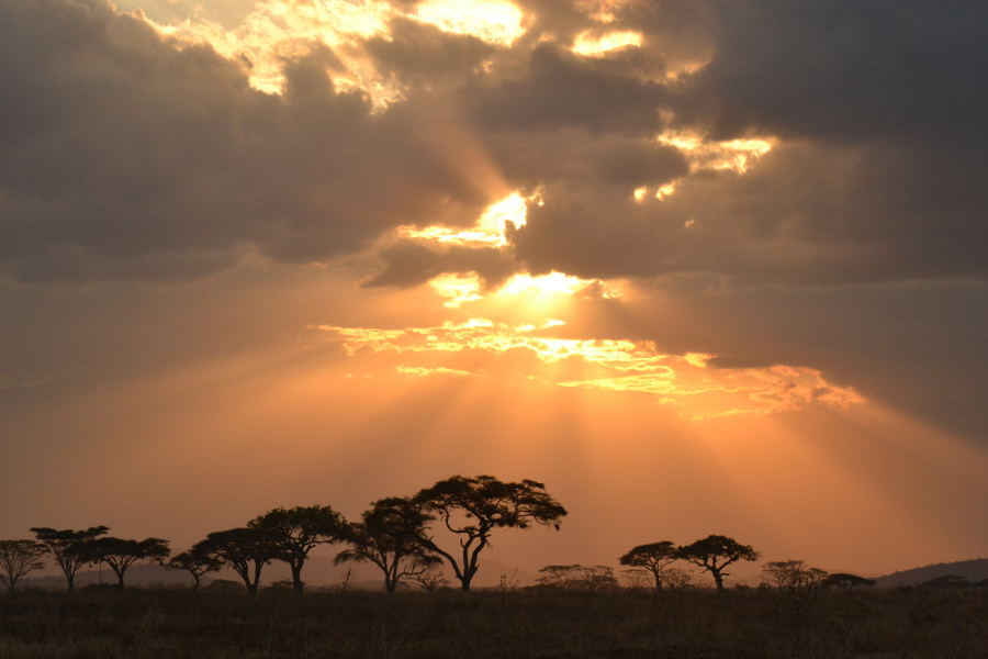 Uganda & Tanzania safari