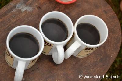 Coffee processing Uganda