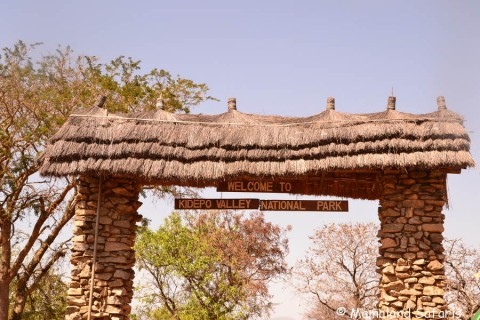 Safari to Kidepo Valley NP