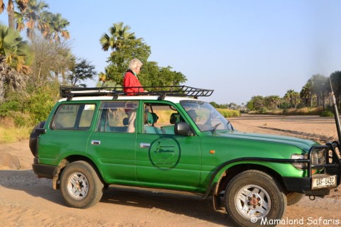 Safari to Kidepo Valley NP