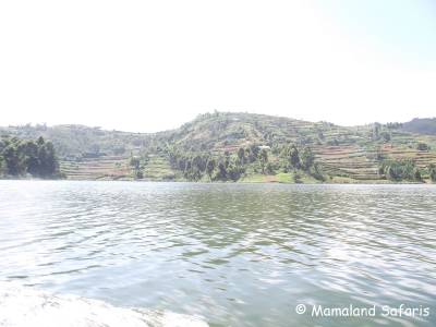 Lake Bunyonyi safari