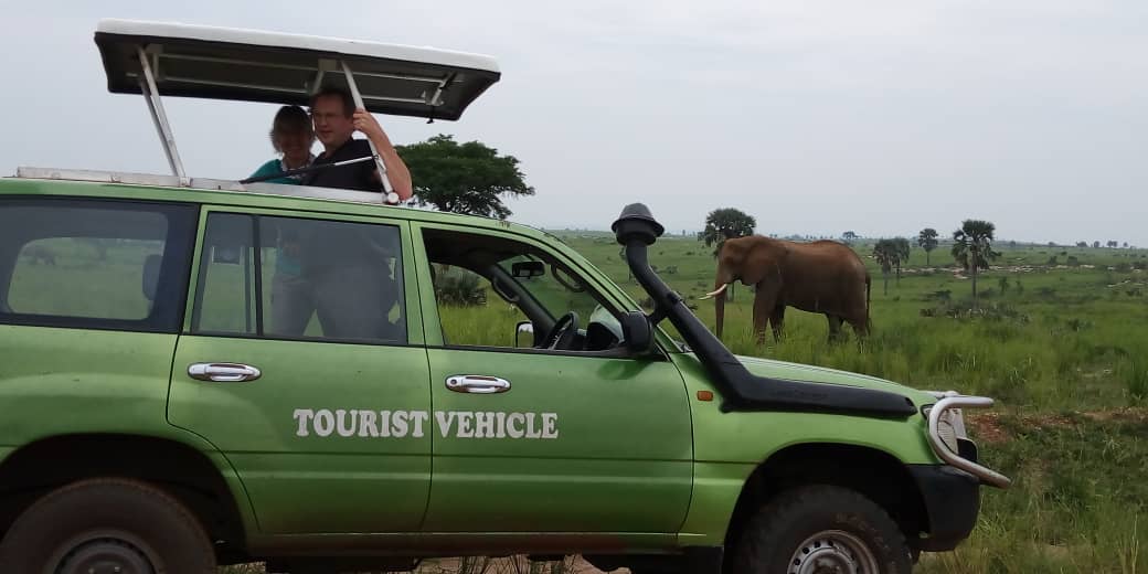 Short Uganda safari