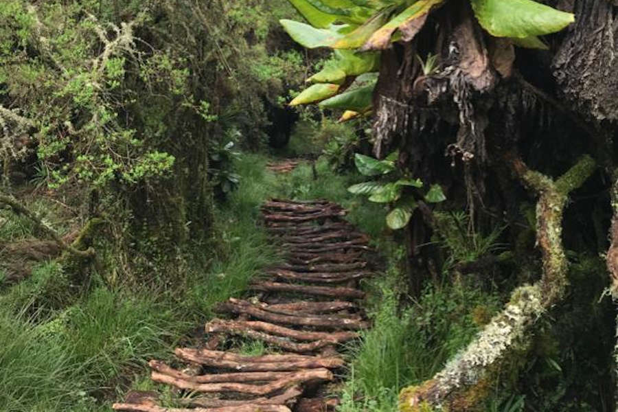 mgahinga hike