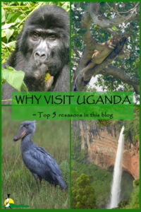 Why visit Uganda?