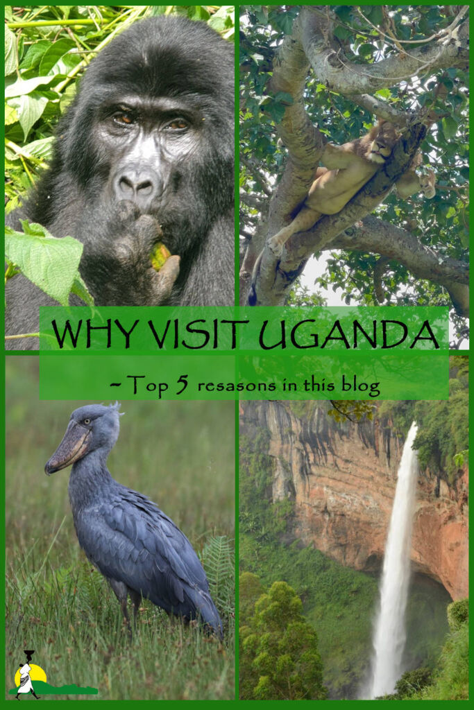 Why visit Uganda?