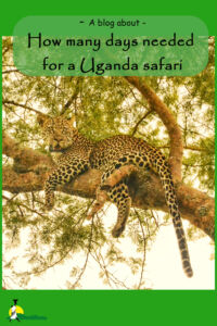 How many days are needed for a Uganda safari