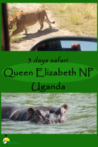 3 days Queen Elizabeth safari
