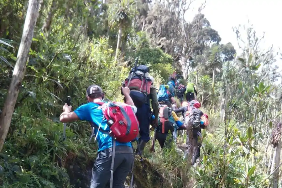 hike in Rwenzori mountains